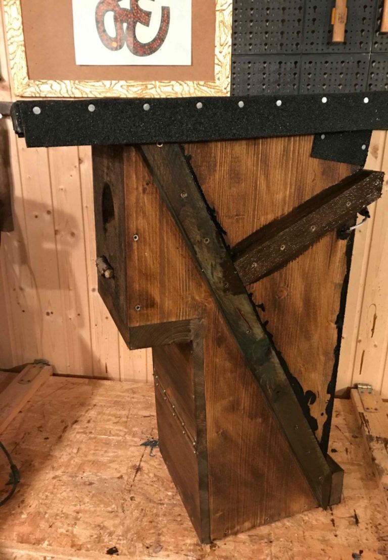 Waldkauz Nistkasten