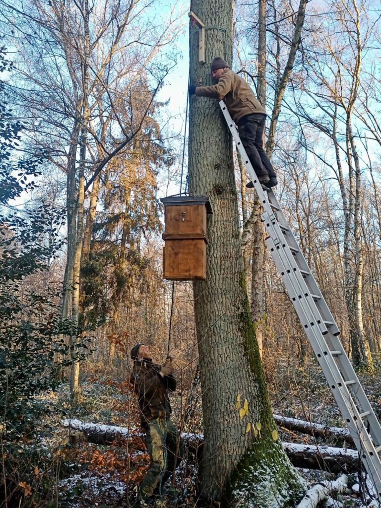 Mittels "Galgen" hochgezogen