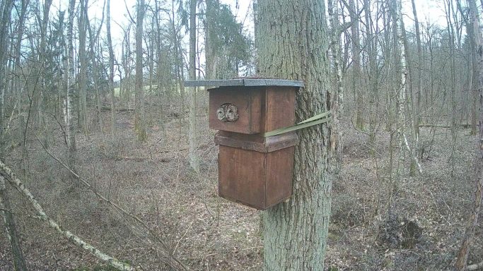 Pärchen Besatznachweis