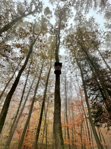 angebaumter Trommelkasten