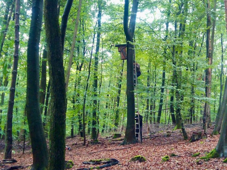 Reinigung, Wartung und Befestigung