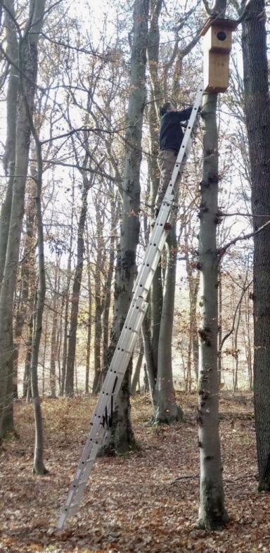 Kastenmontage in luftiger Höhe