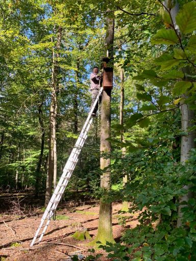 Hoch hinaus geht`s beim Anbaumen.