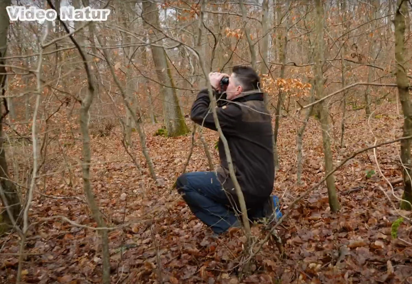 Kauzfreund bei YouTube