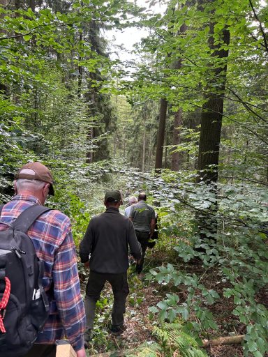 Ab in den Wald.